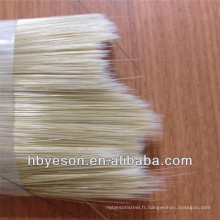 Fil de brosse lumineuse et droite / fil de brosse à peinture avec fil de brosse conique / monofilament / Sri Lanka en vente